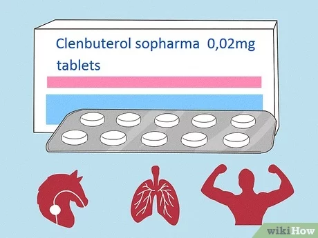 when should you take clenbuterol