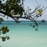Jamaica Preaching course