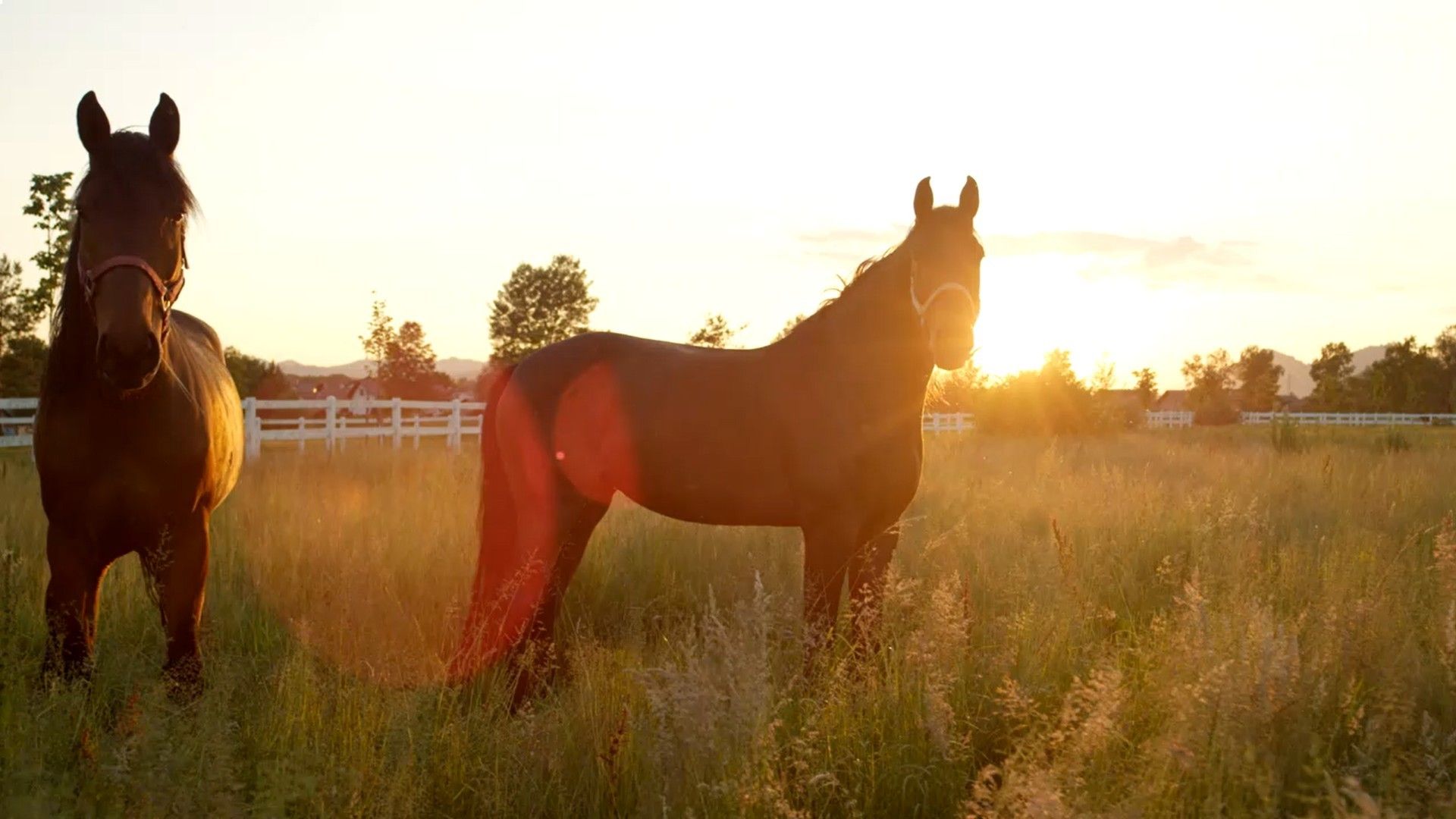 Z2wxuuzm4mhxsm Z2wxuuzm4mhxsm