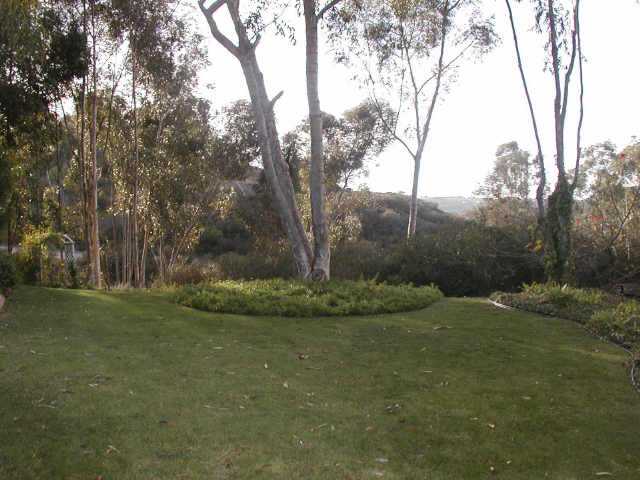 14432 Mil Arboles