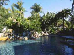 6540 VIA DOS VALLES Lot 56