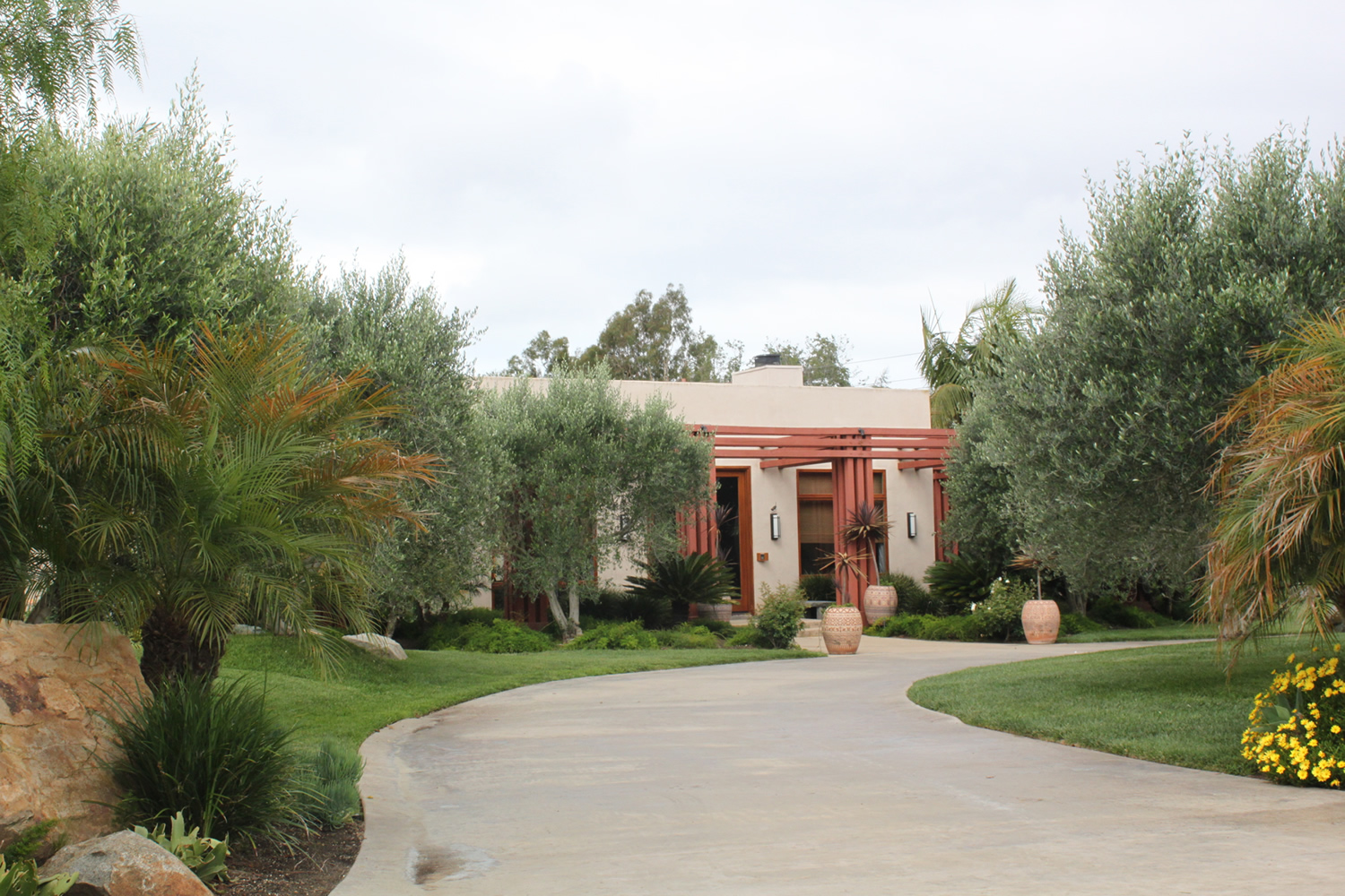 #1 VALLE DE ORO