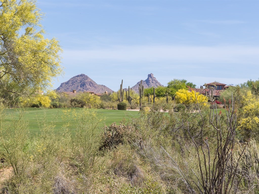 9290 E  Thompson Peak Pkwy 142