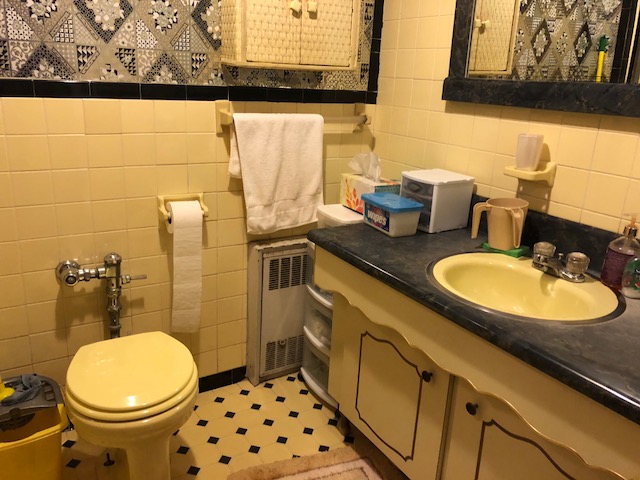 463 East 9th 3 Family - Close to All Call Jack 917-288-4001