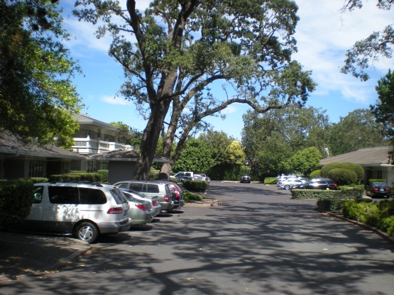 250 Bel Marin Keys Blvd. Bldg. G