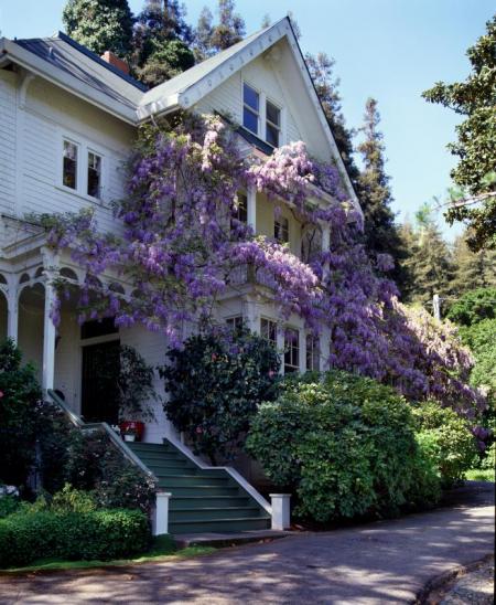 185 Lagunitas Road