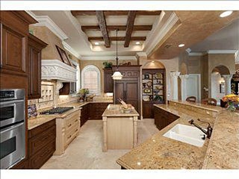 14233 Royal Harbour Ct