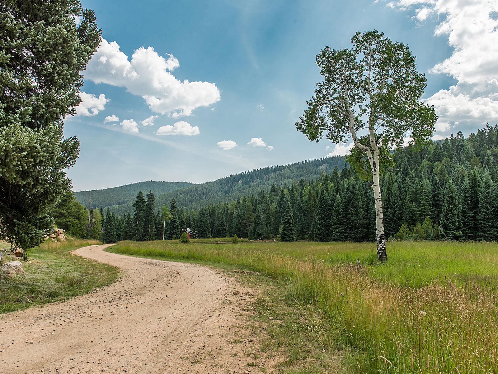 Simpson Ranch