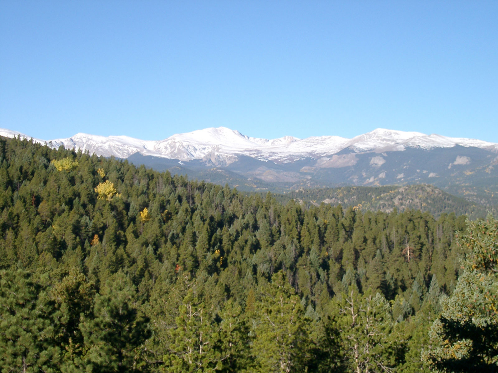 Simpson Ranch