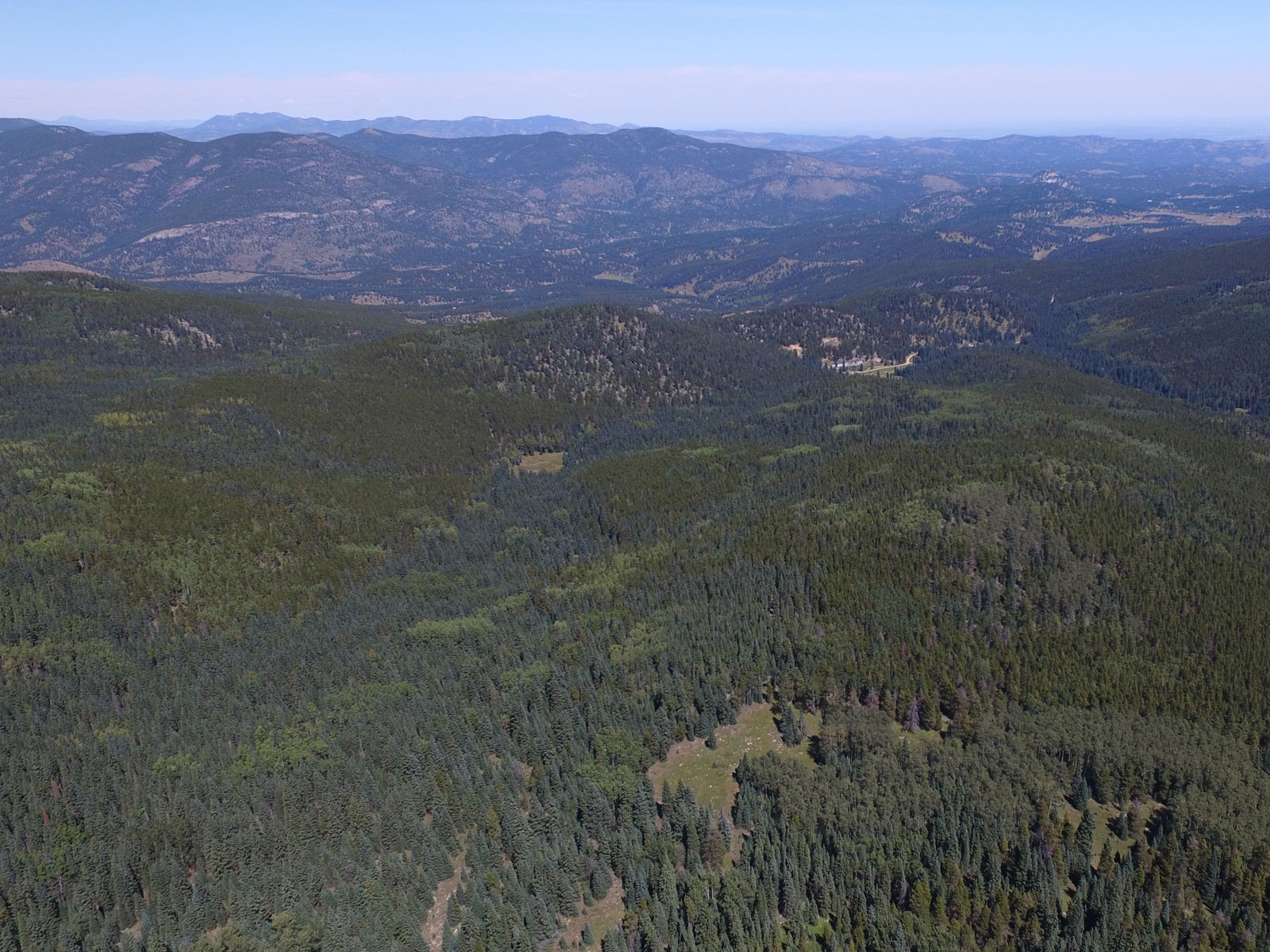 Simpson Ranch