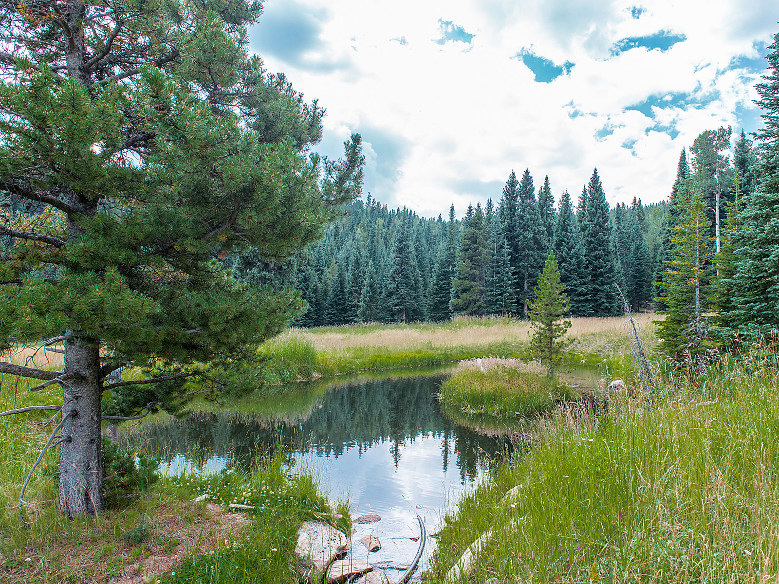 Simpson Ranch