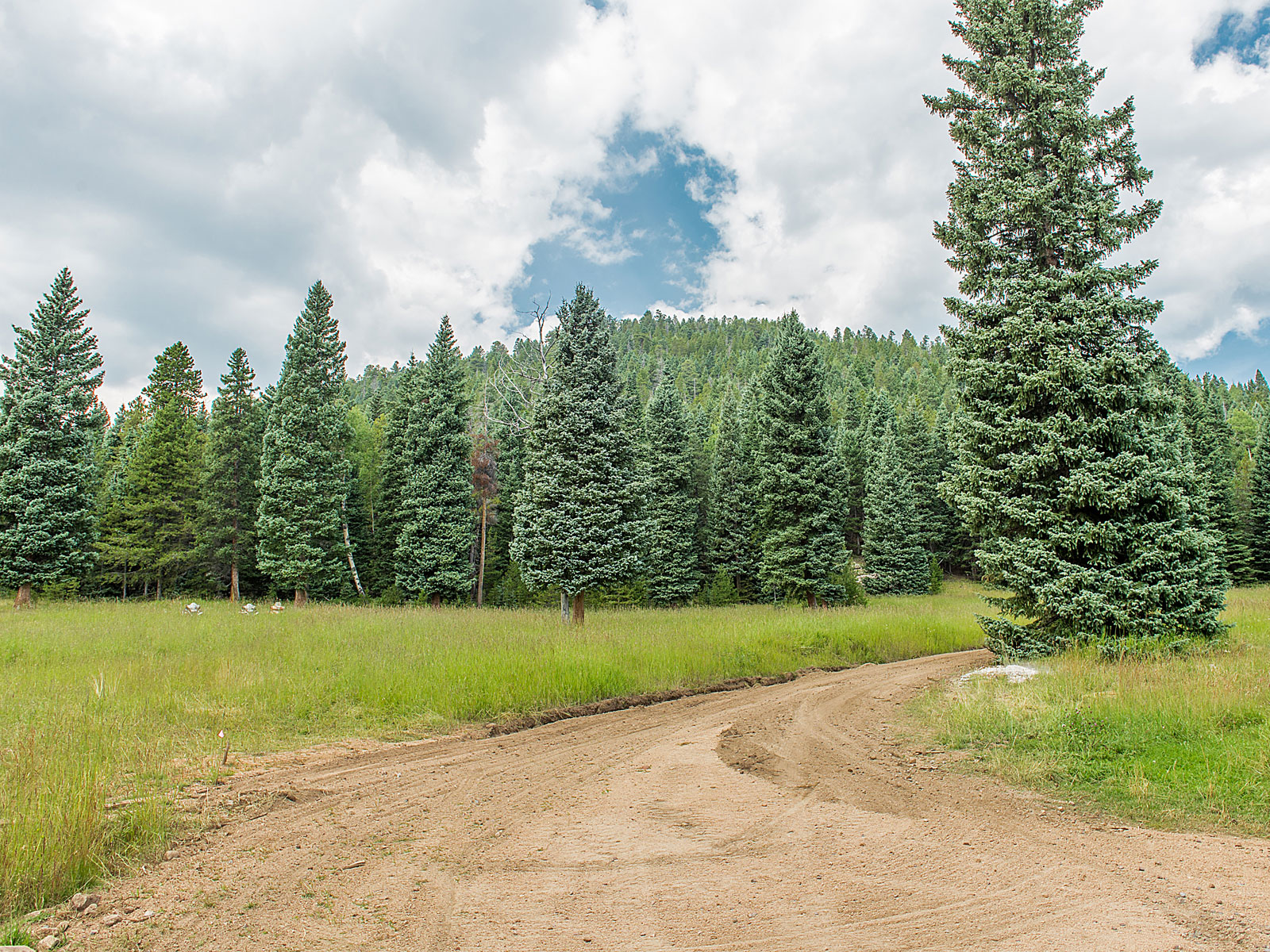 Simpson Ranch