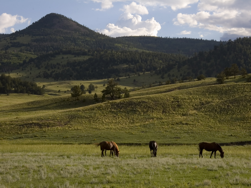 Aspen Creek Retreat