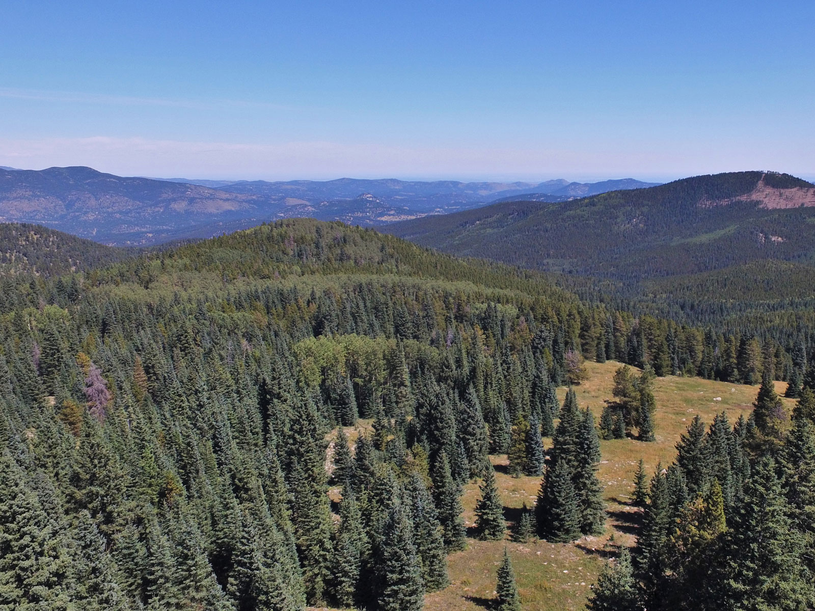 Simpson Ranch