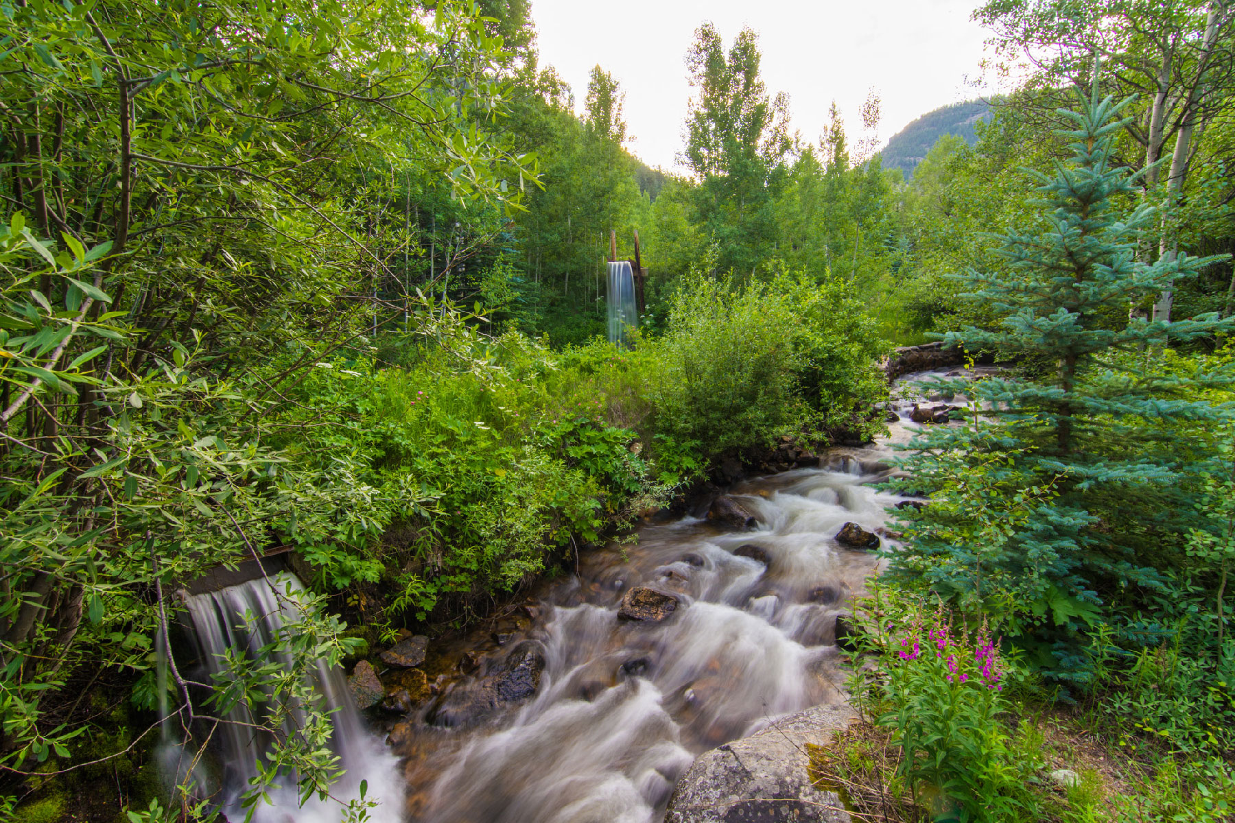 859 Mill Creek Road
