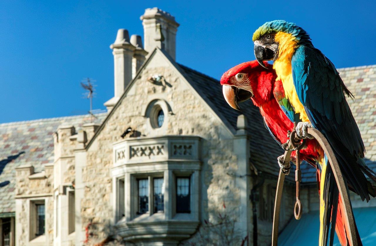 The Playboy Mansion