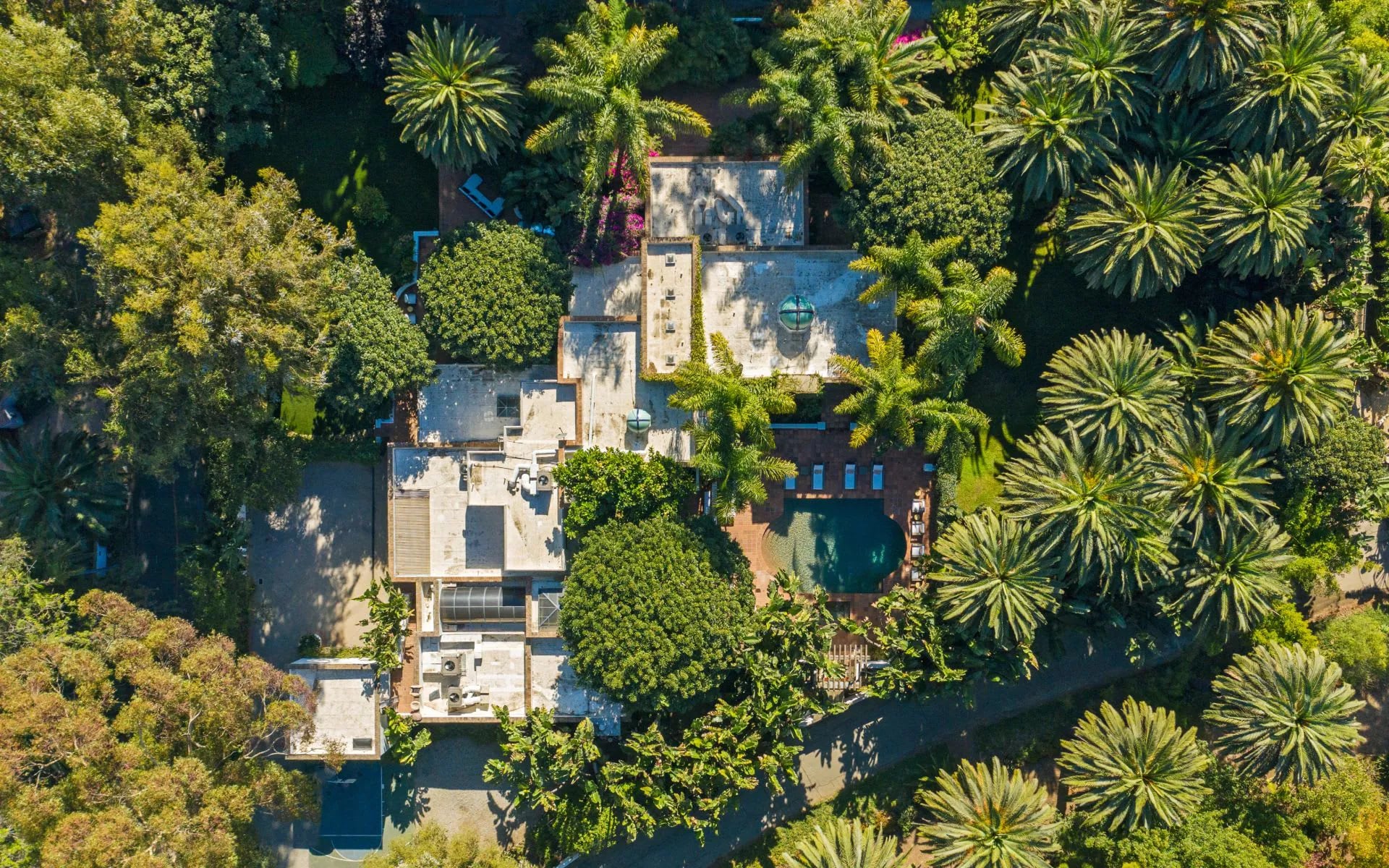 23111  Mariposa De Oro Street