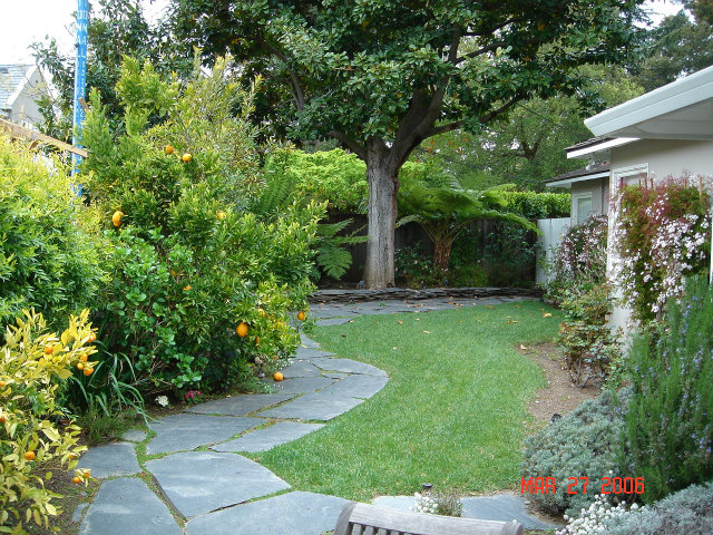 1137 Forest Avenue