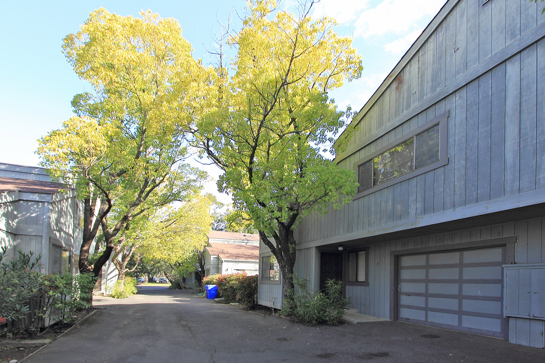 375 West Napa Street