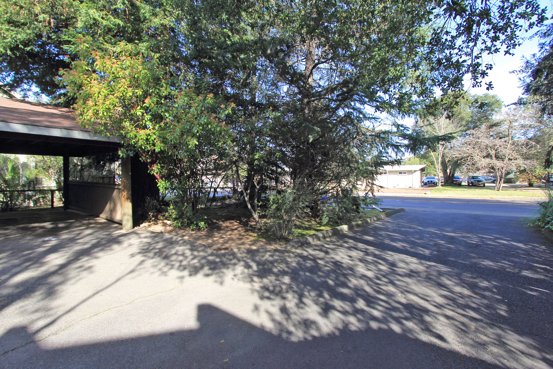 375 West Napa Street