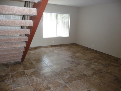 7803 Cantella  St.