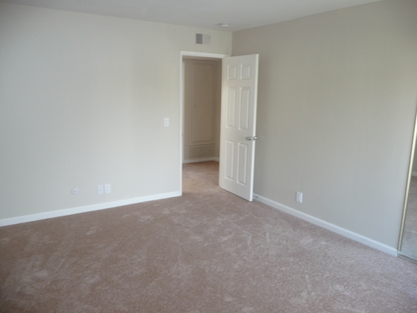 7803 Cantella  St.