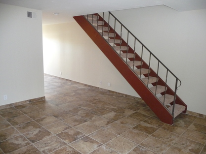7803 Cantella  St.