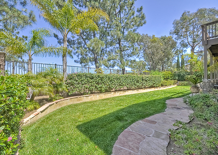 585 Lynwood Dr.