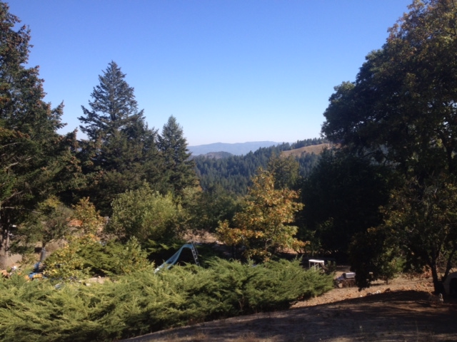 3440 Mt. Veeder Road