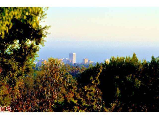 12447  Deerbrook Lane