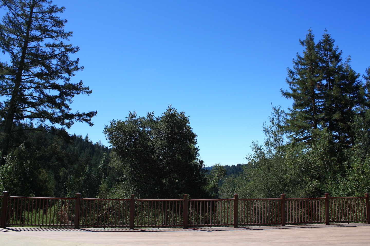 23650 Sky View Terrace