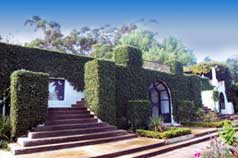768  Ayala Ln.