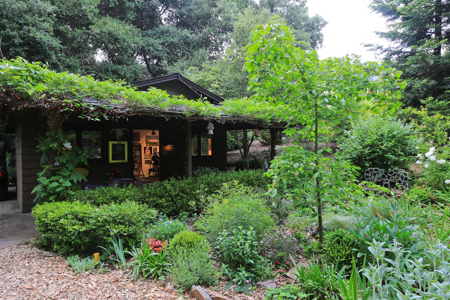 1100 Mountain Home Road