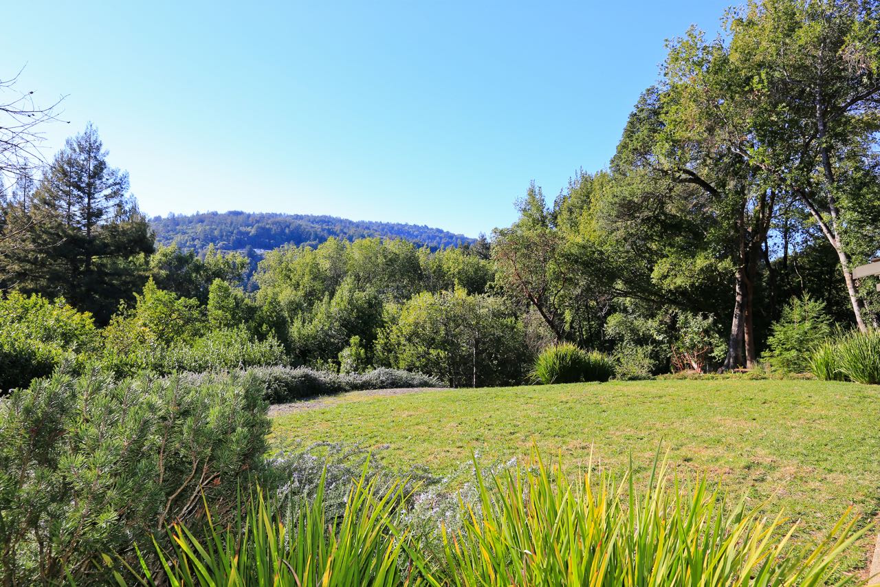 245 Mountain Wood Lane