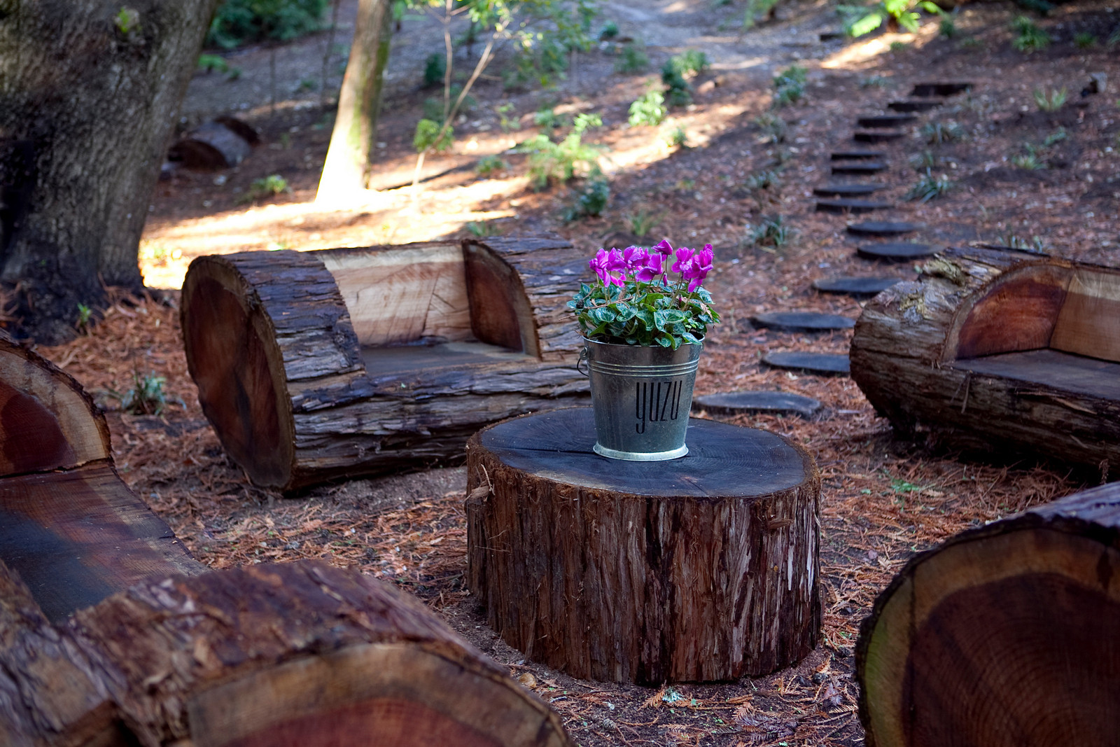 1100 Mountain Home Road