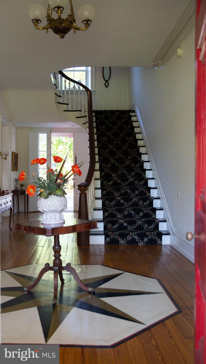 521 LEOPARD ROAD