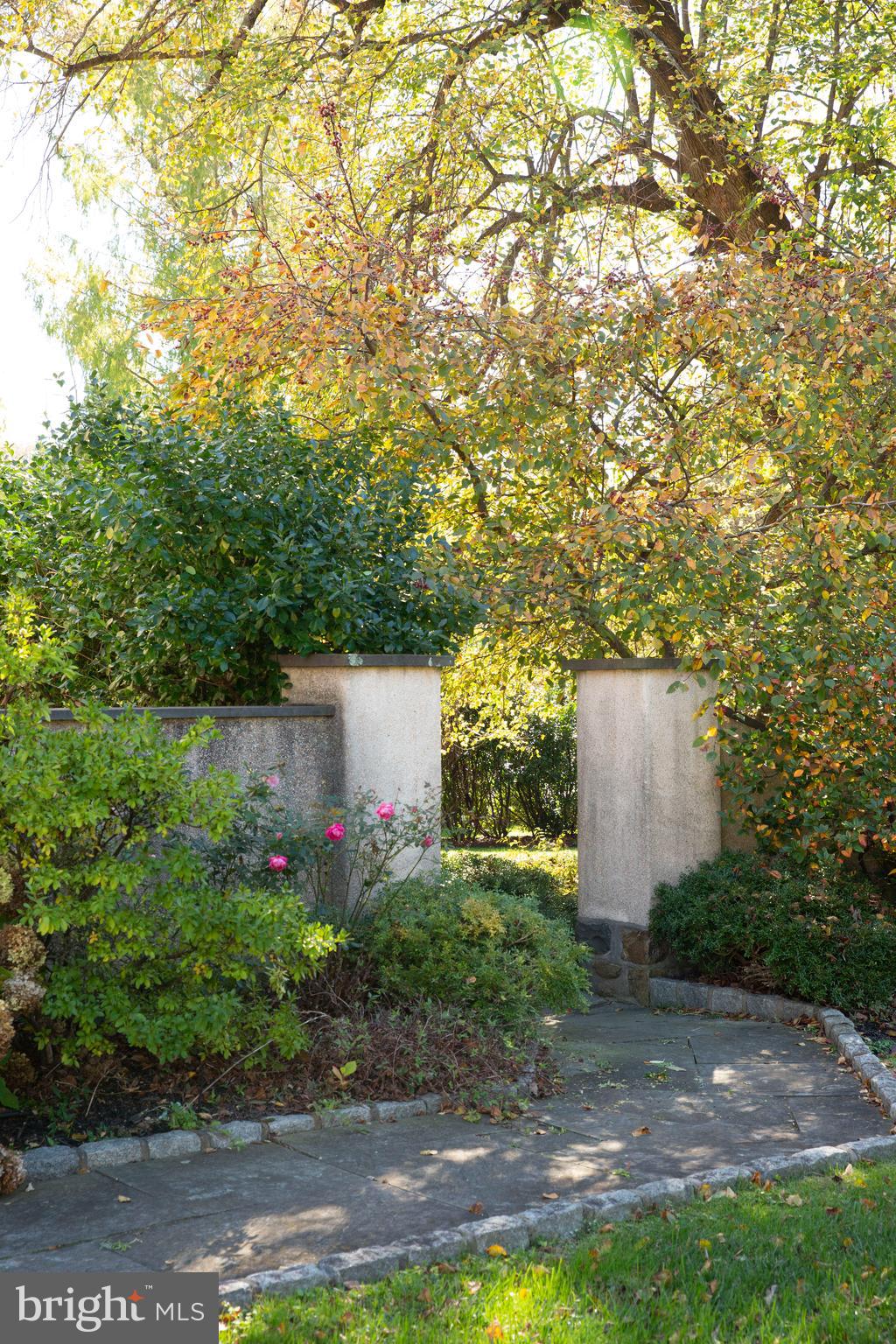 521 LEOPARD ROAD