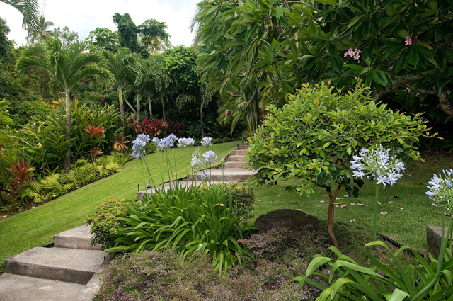 46-107 Lilipuna Rd