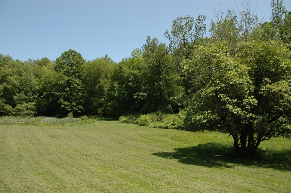 2 ELWELL ROAD