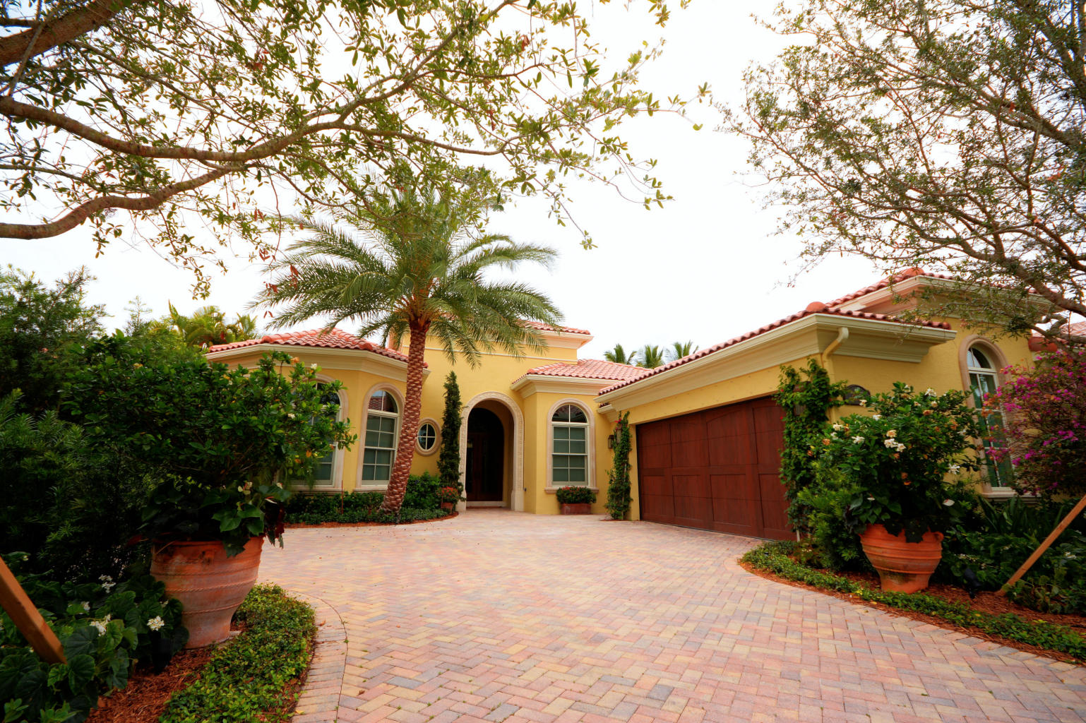 2920 Bent Cypress