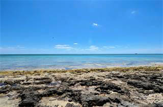 Oceanfront Tourist-Commercial Tract