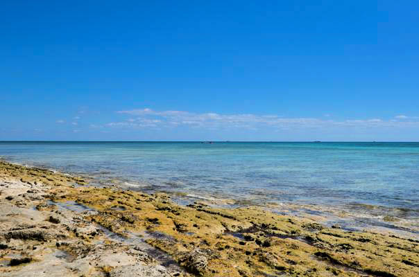 Oceanfront Tourist-Commercial Tract
