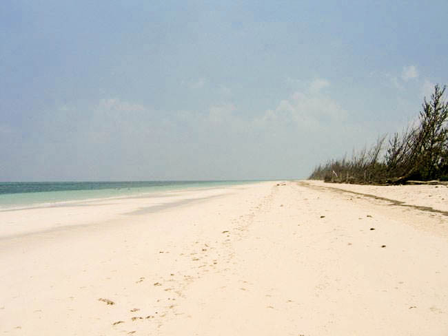 Beachfront Tract in High Rock