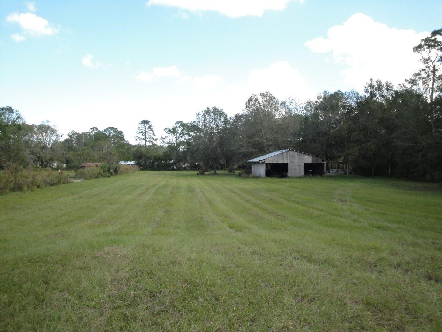 Property Search Susan Logan, Realtor New Smyrna Beach, Samsula