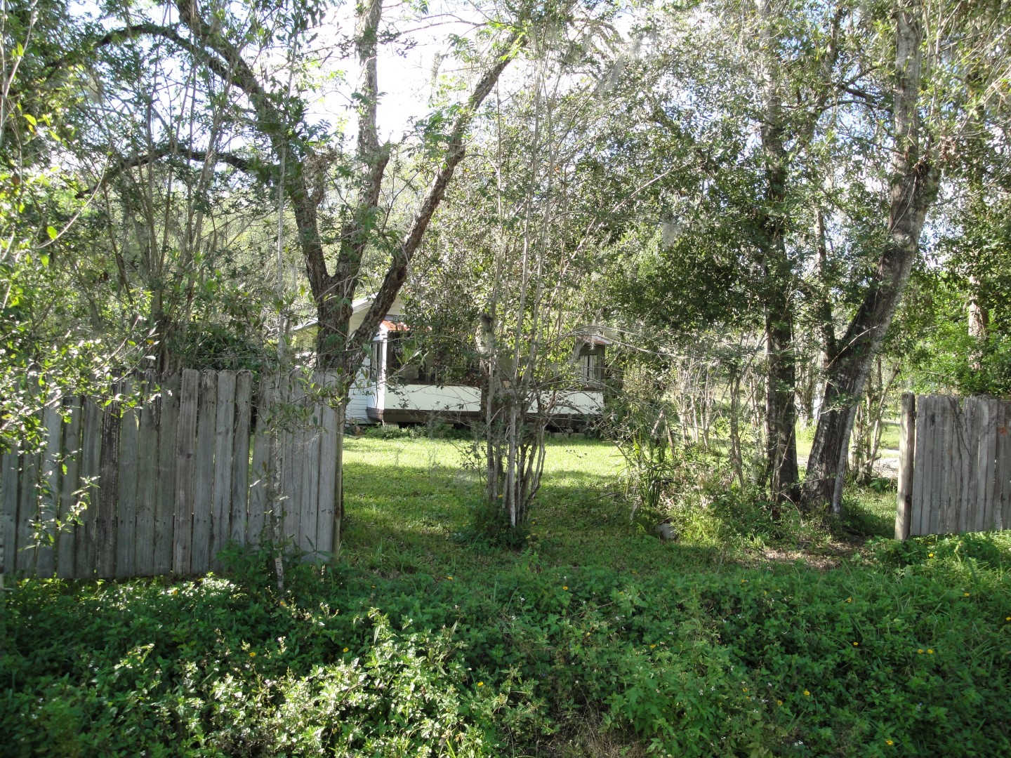 Property Search Susan Logan, Realtor New Smyrna Beach, Samsula