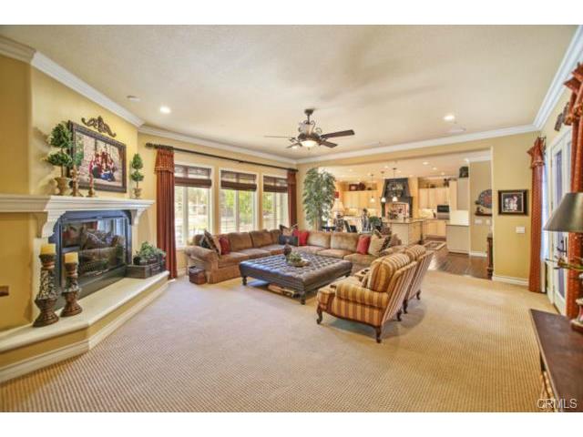 26012 Horseshoe Cr
