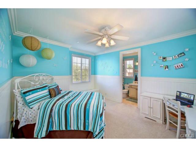 26012 Horseshoe Cr
