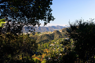 3346 Figueroa Street