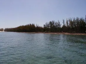 Beachfront Tract in Bell Channel