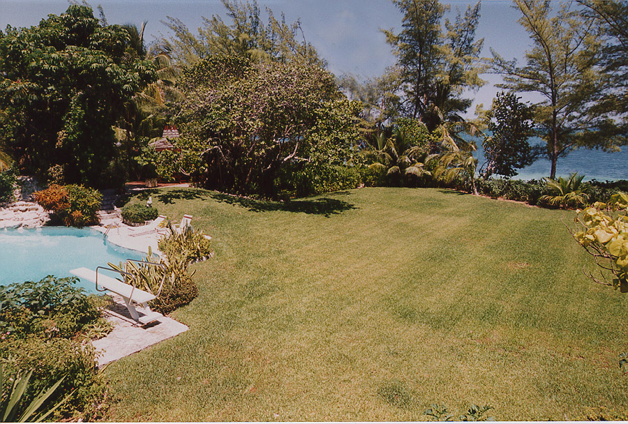 Paradise Overdose